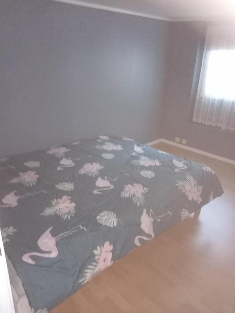 Apartamentai arti ALNES photo 1