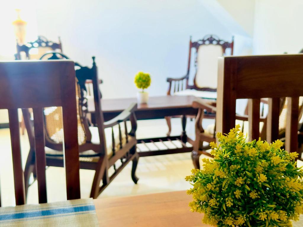 Halcyon Rest photo 4