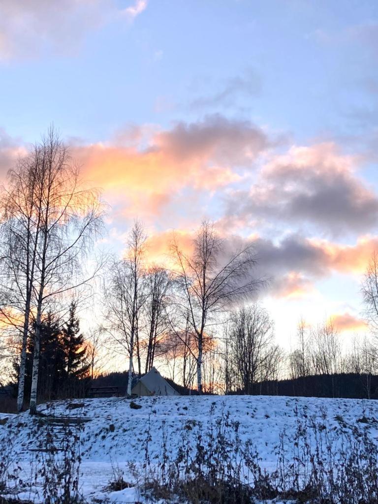 Winter Glamping Tent Hovfjallet Vitsand photo 1