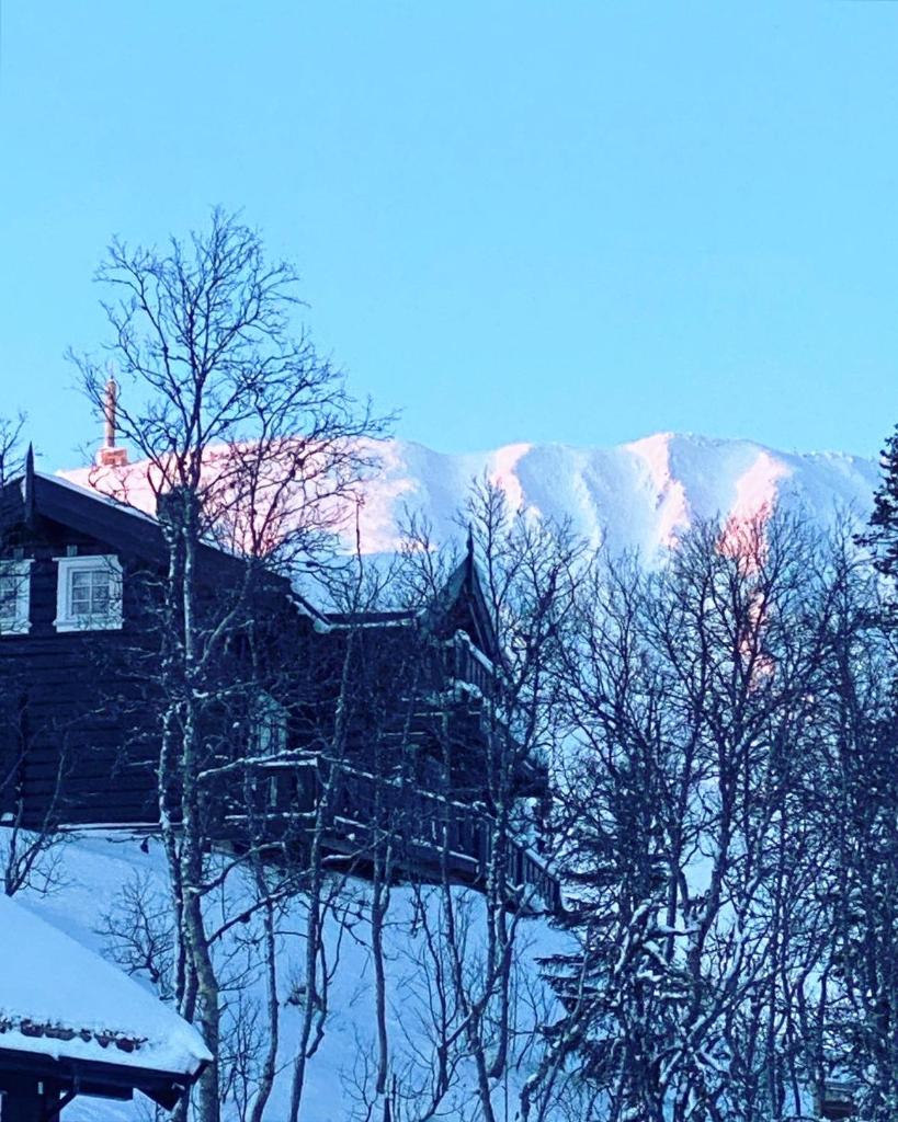 Modern och bekväm hytte nära Gaustatoppen, 3 sovrum 9 bäddar photo 1