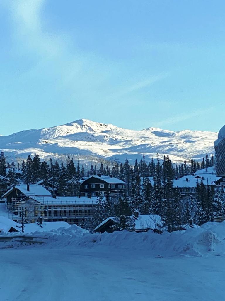 Modern och bekväm hytte nära Gaustatoppen, 3 sovrum 9 bäddar photo 3