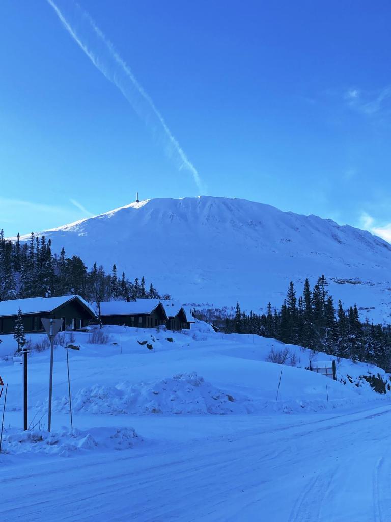 Modern och bekväm hytte nära Gaustatoppen, 3 sovrum 9 bäddar photo 2