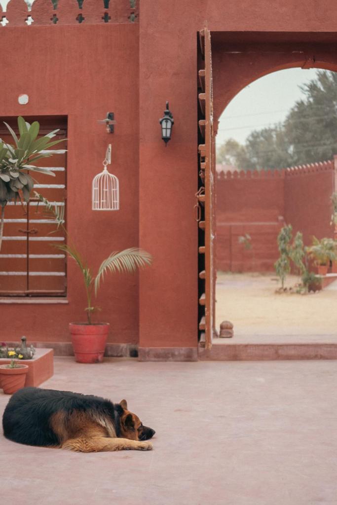 Cavalry Villa bikaner photo 1
