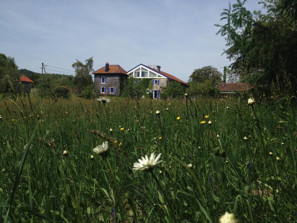 Gîte et Roulotte dans les Vosges photo 1