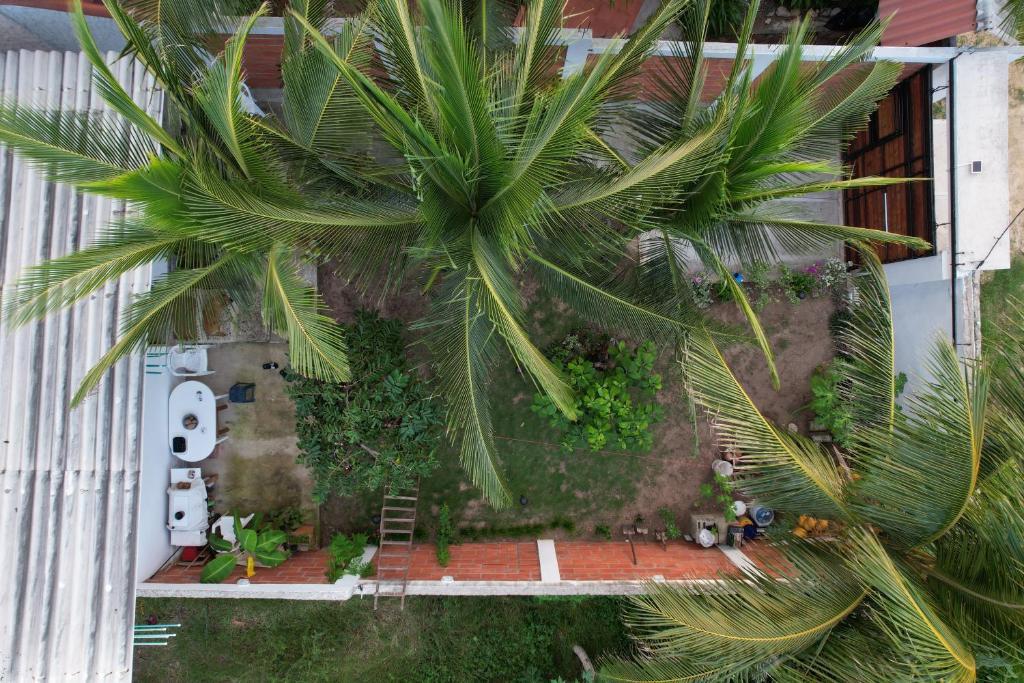Casa Figueroa photo 2