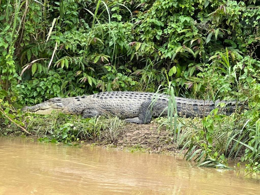 Borneo Jungle Adventure photo 4
