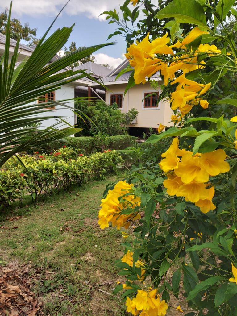 Baan innto resort photo 3