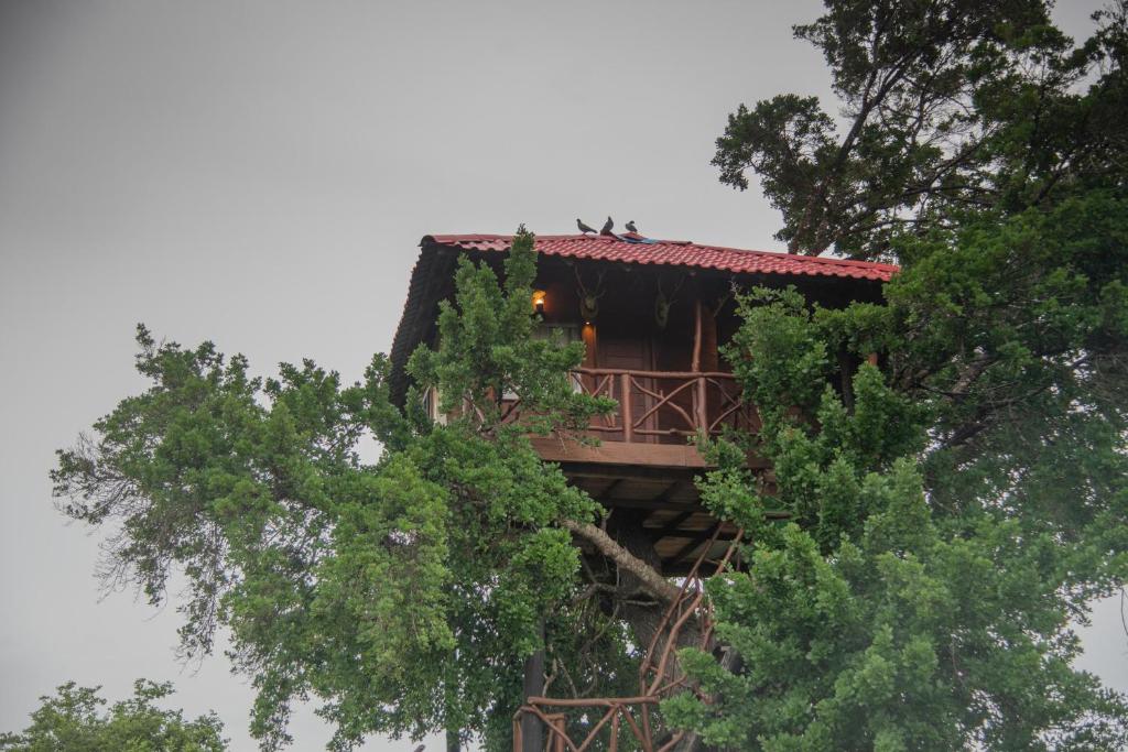 Animal View Point Yala photo 1