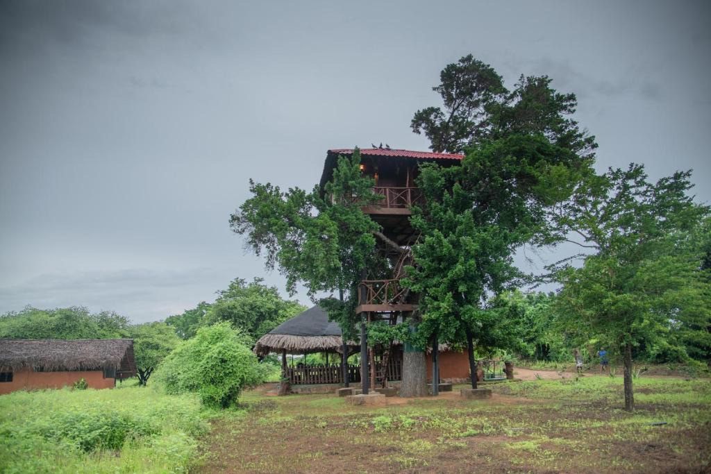 Animal View Point Yala photo 4