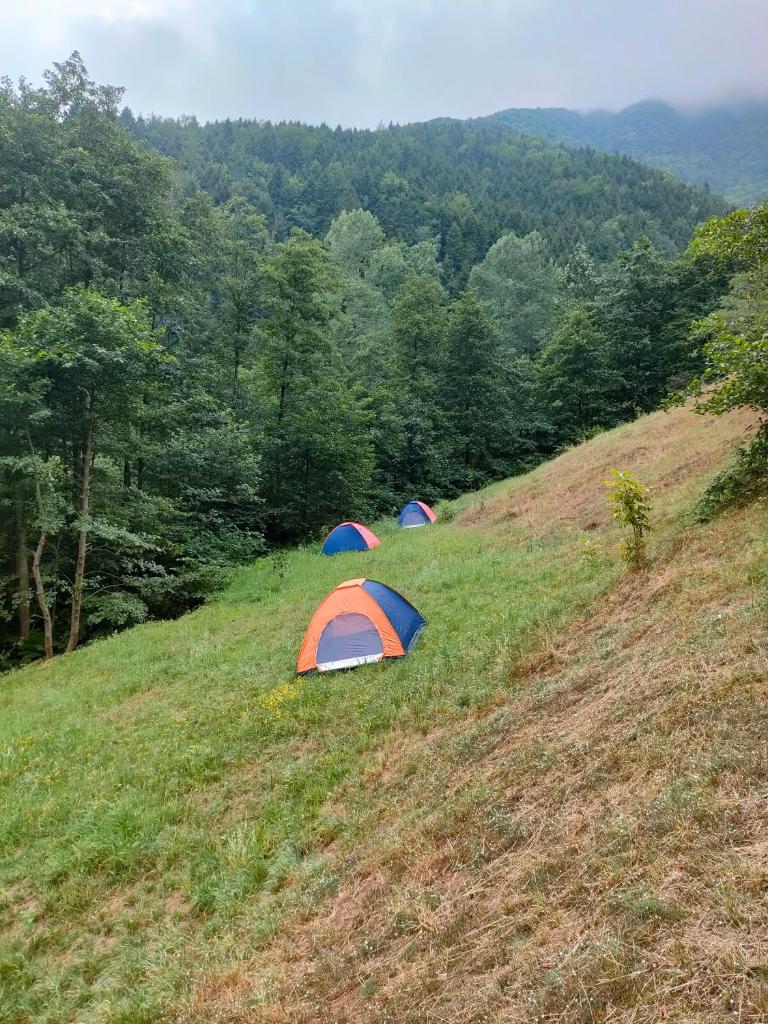 ZORLU CAMp photo 3