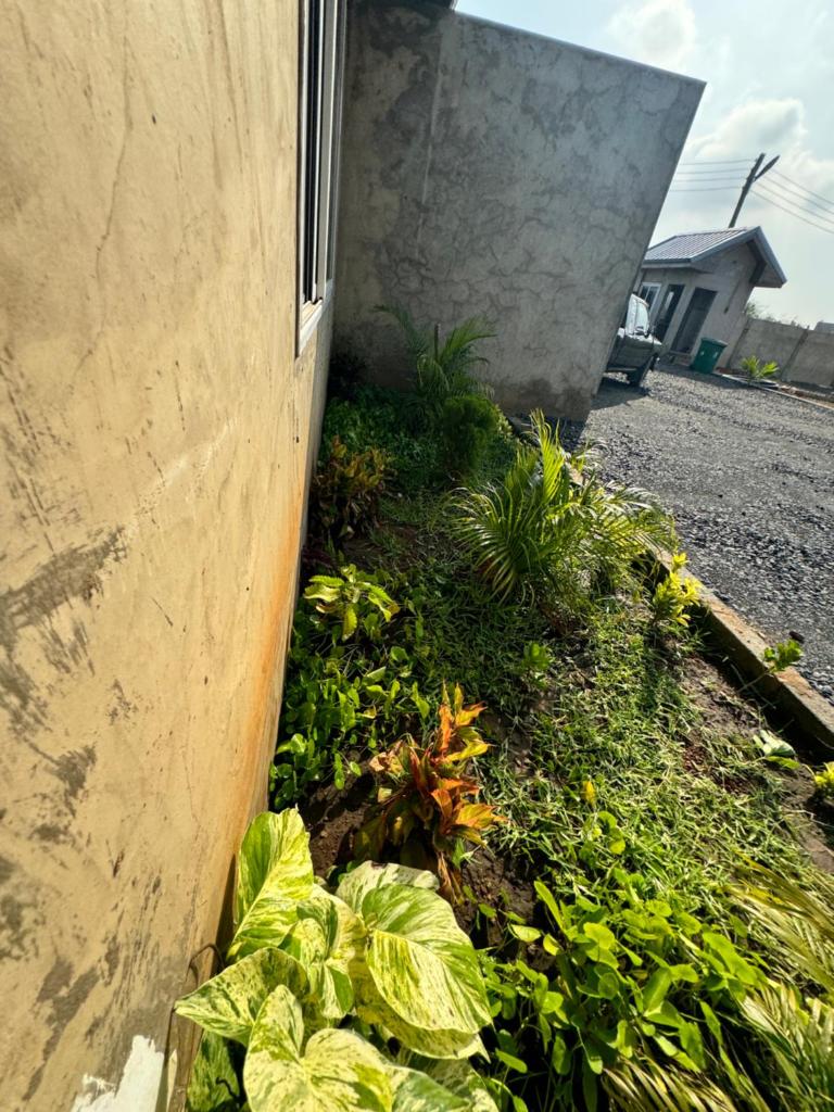 Pixie Homes photo 1