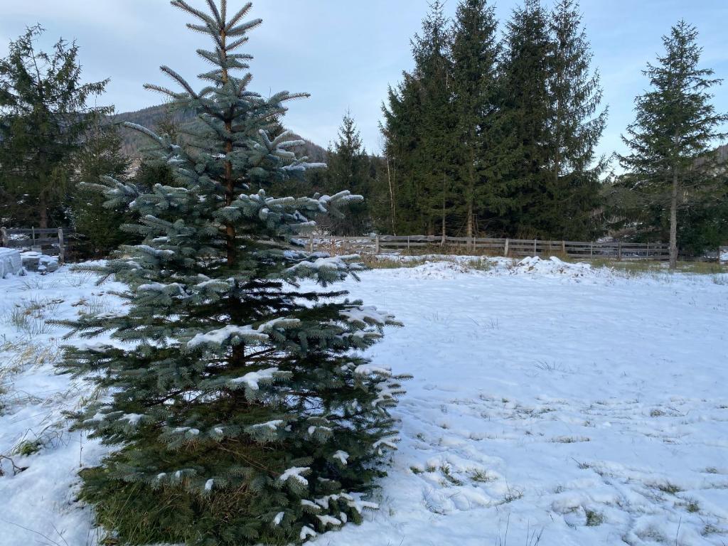 VILLA IRYNA photo 4
