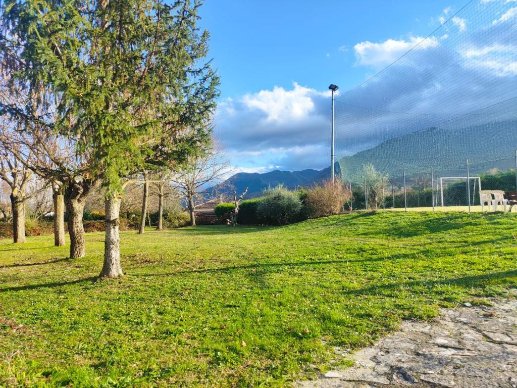 IL PICCOLO PARADISO photo 4