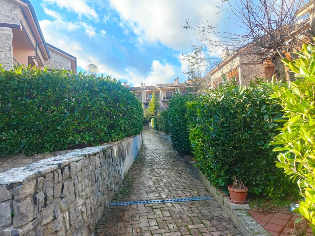 IL PICCOLO PARADISO photo 1