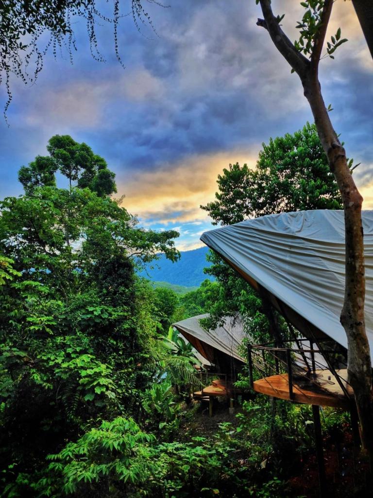 Jungle Gayborhood - LGBTQ Boutique Hotel and Retreat