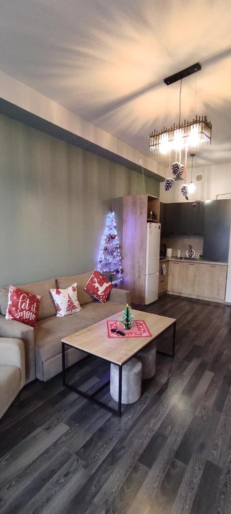 Sunny apartment in Kechi House, Tsaghkadzor photo 1