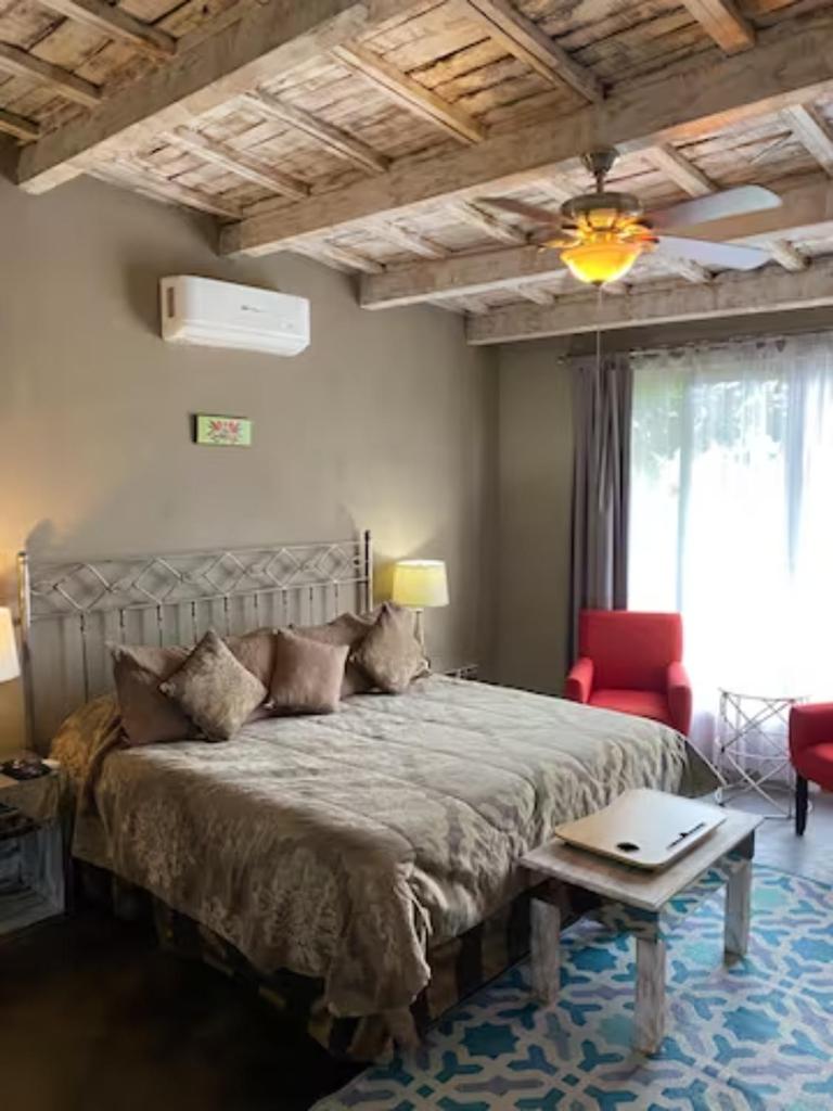 View Hotel Boutique photo 3