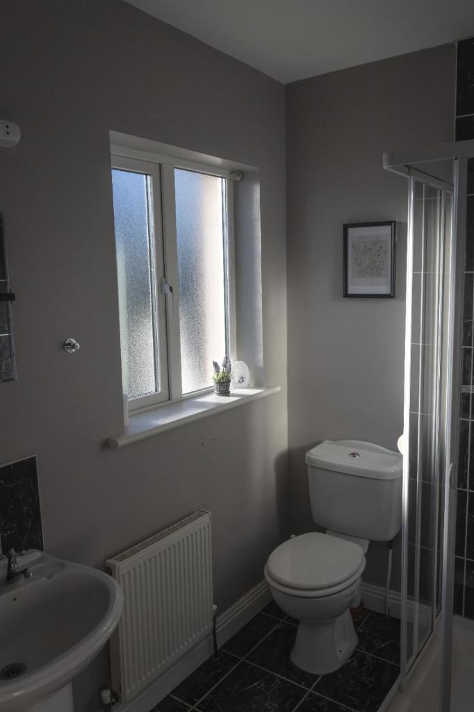En-Suite room in Carlow Town photo 4