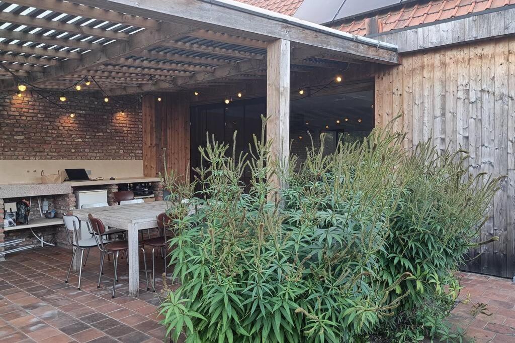 Huis Belijn photo 1