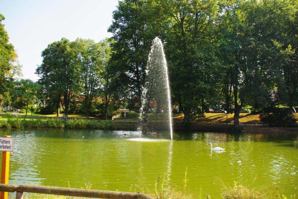 Ulrike's Pension am Kurpark photo 3