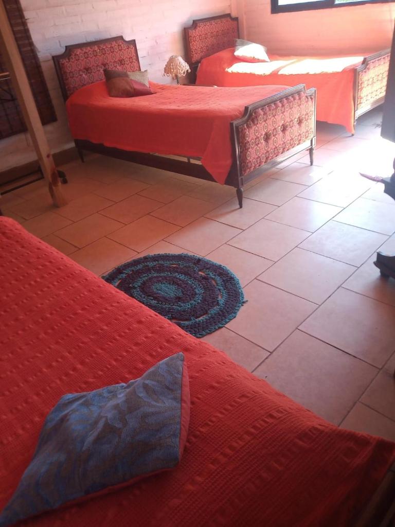 Complejo Las Paltas photo 1