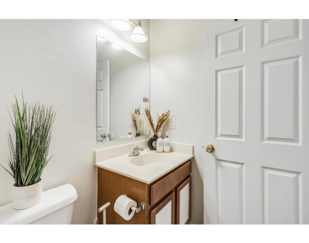 Charming Basement Hideaway photo 1