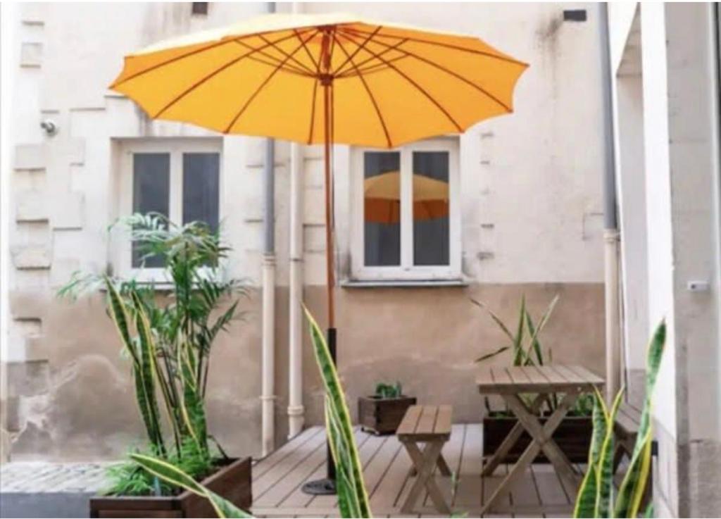 Hypercentre Appart 2 à4 pers Calme & Cosy avec Terrasse Privée photo 4