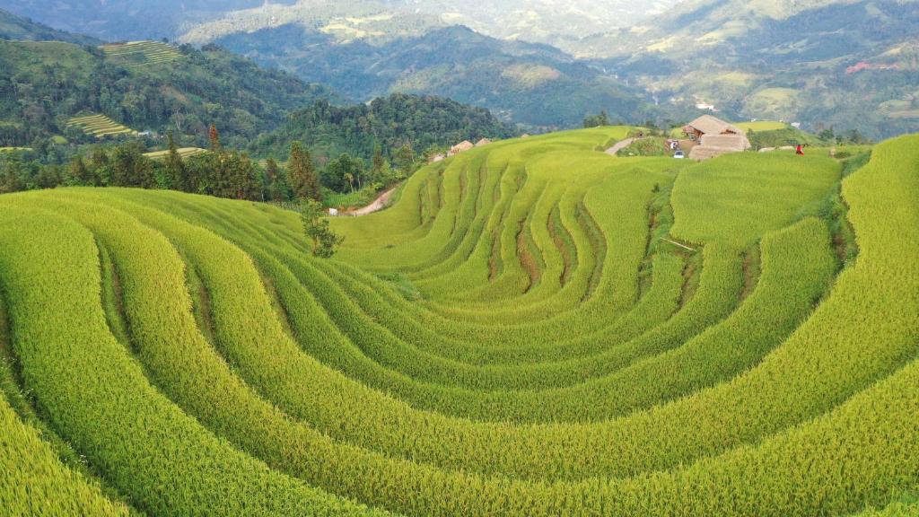 Móng Ngựa homestay - Hoàng Su Phì