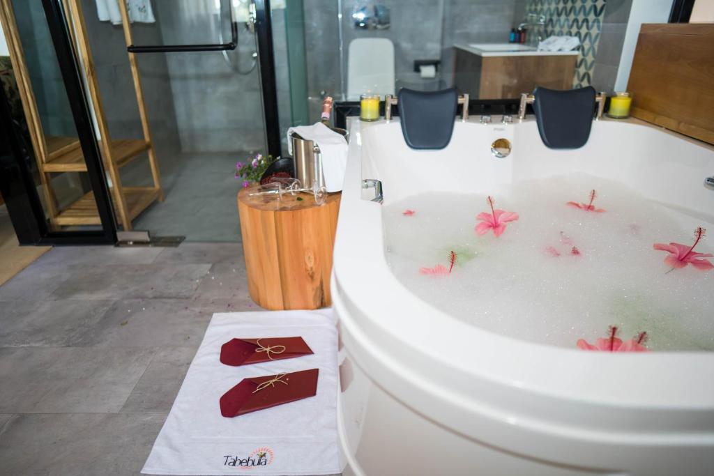Tabebuia Spa and Safari Resort photo 1