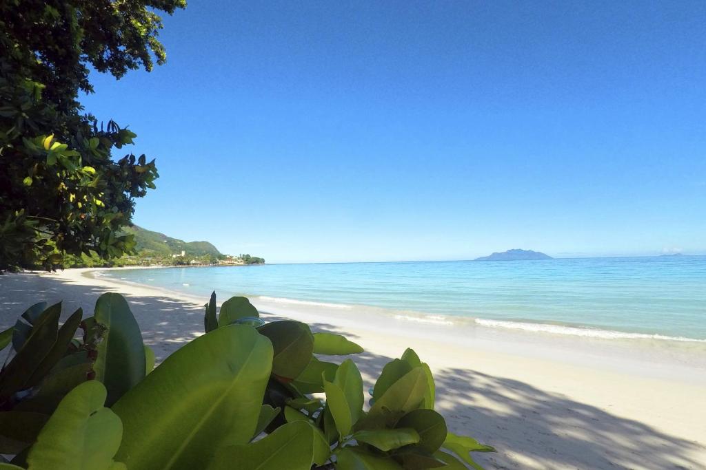 Beach View Villa - Beauvallon villas photo 3