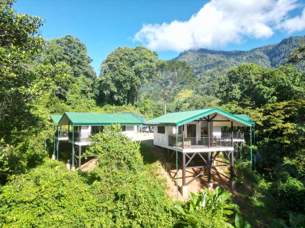 Jungle Passion Lodge