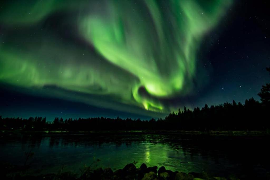 Livo Arctic Resort photo 2
