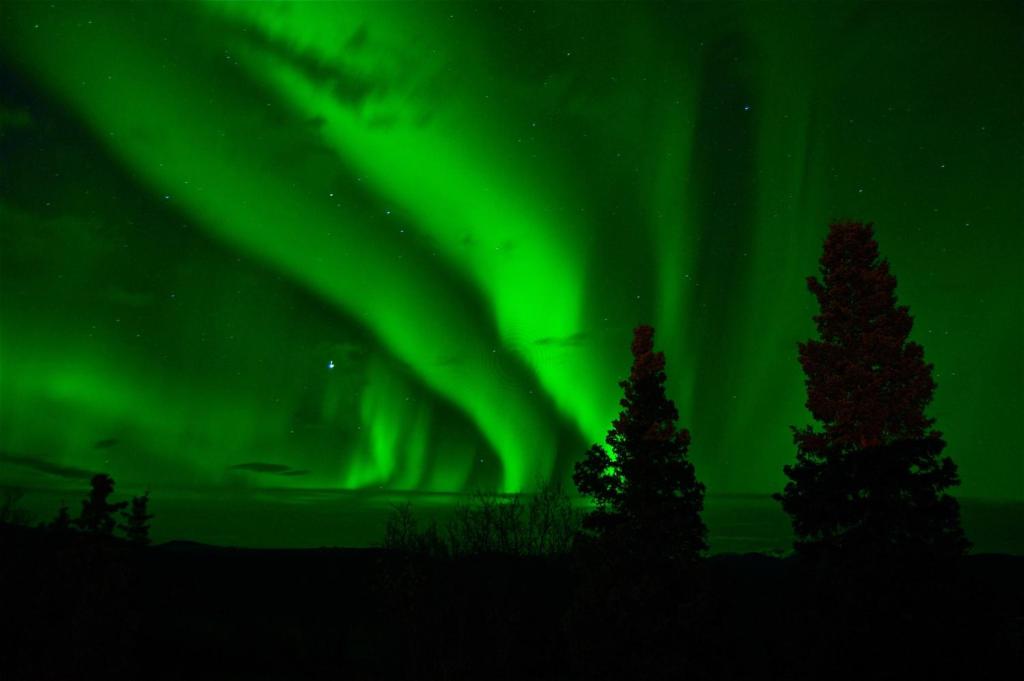 Livo Arctic Resort - Tap to explore photos