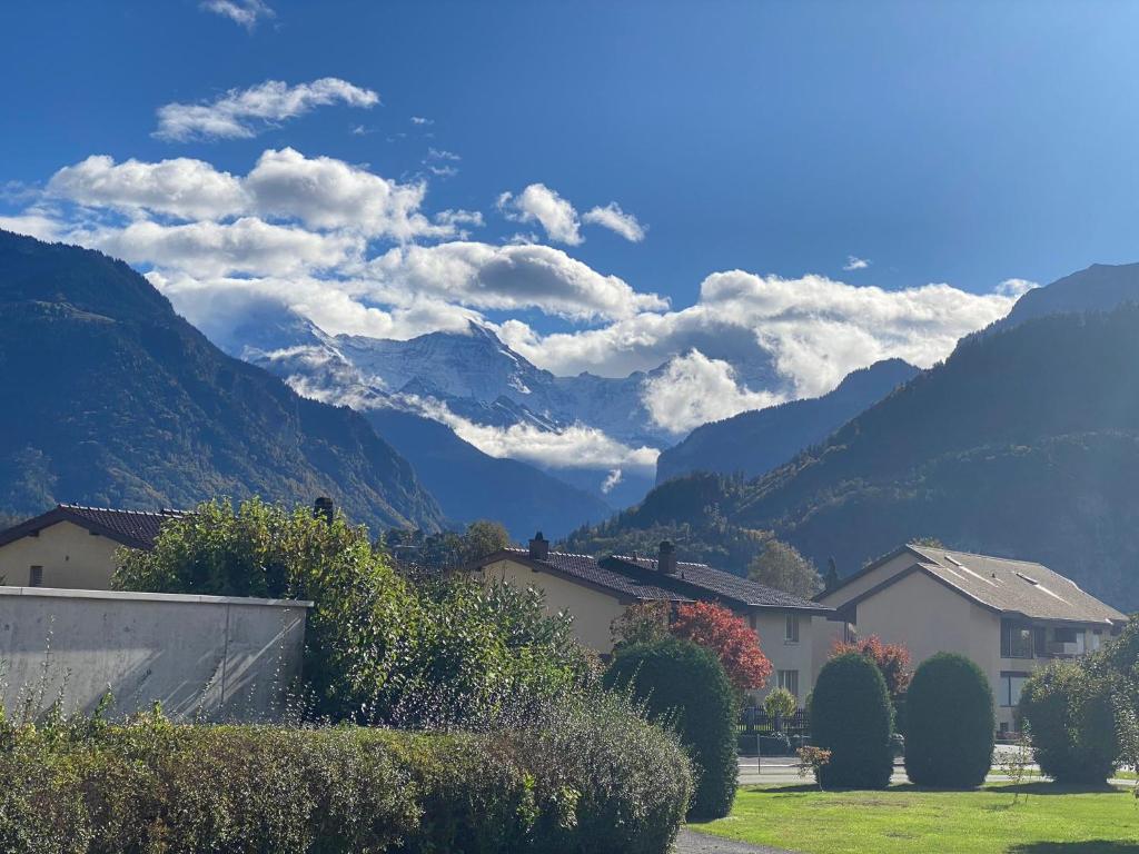 Unique Tiny Eco Lodges with gorgeous views to Jungfrau Massiv photo 3