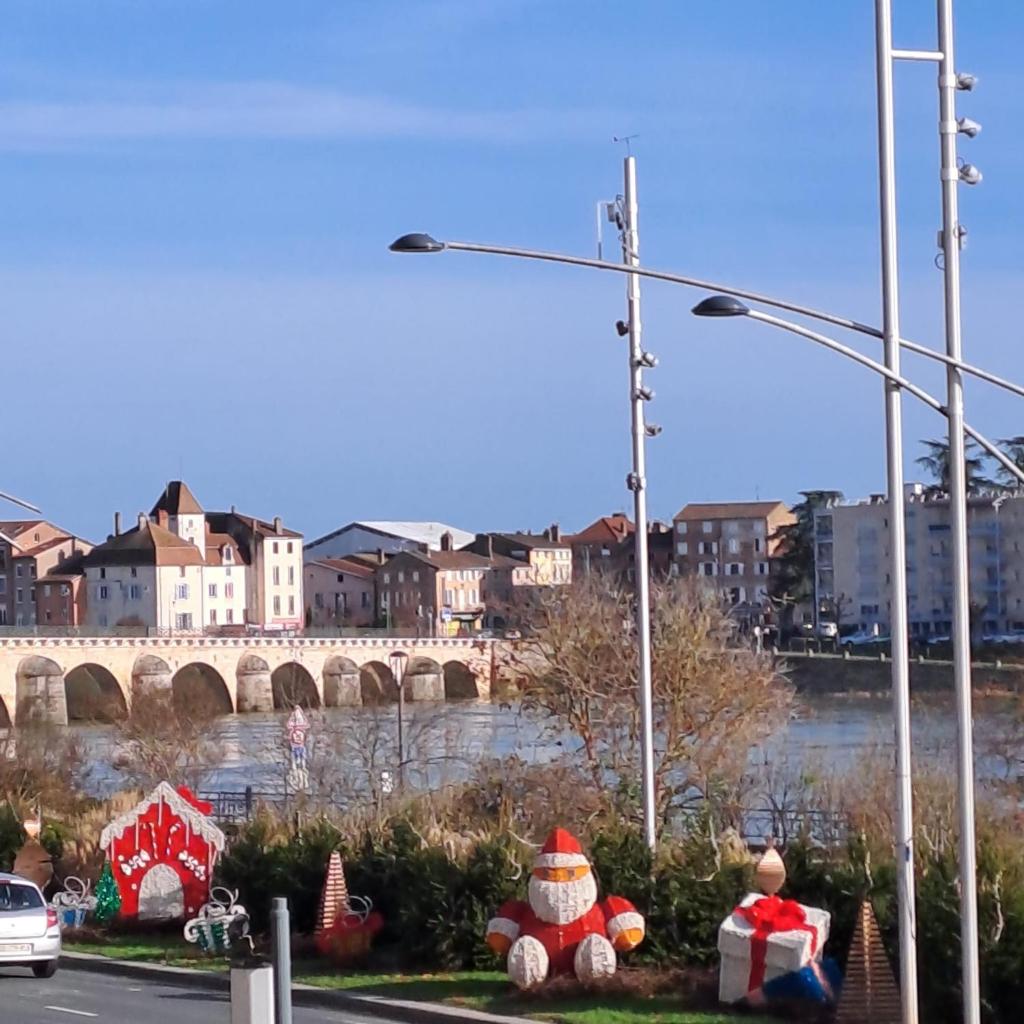 Charming appartement with a view of the Saone photo 2