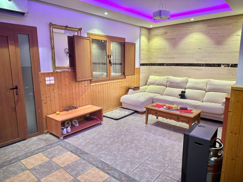 ZiZi Rentals photo 2