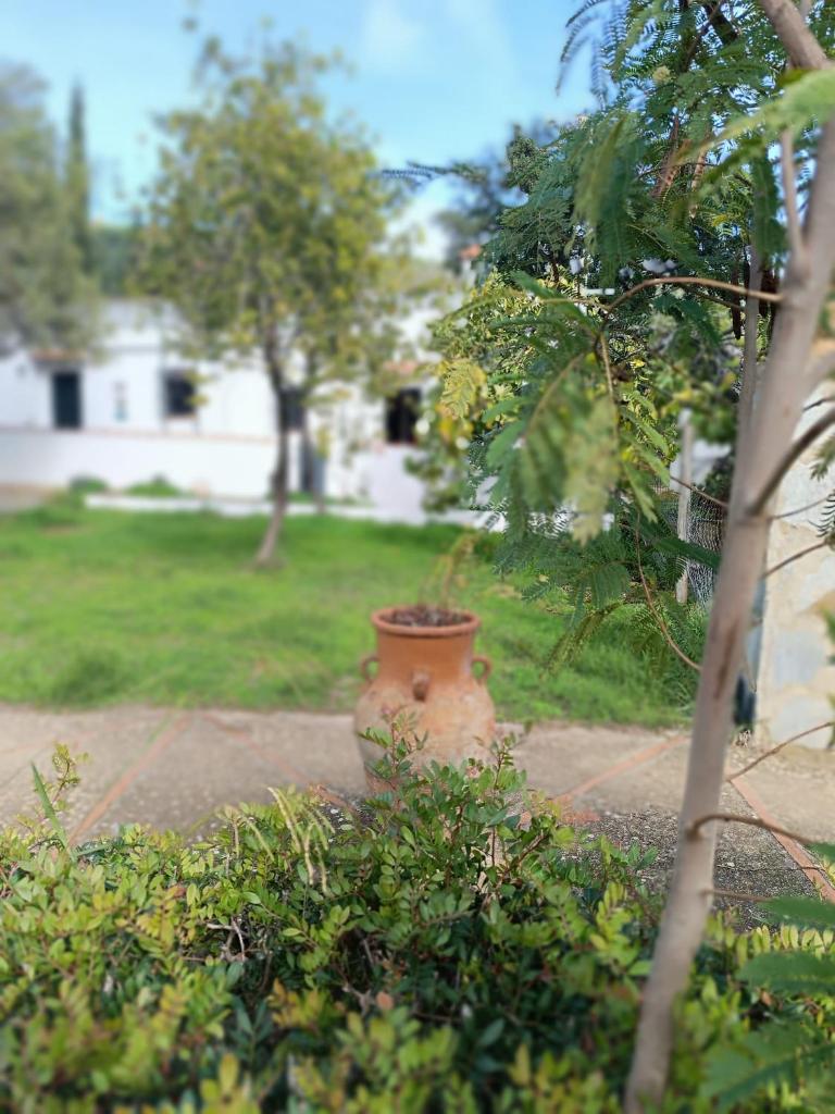 Las Casitas de Higuera