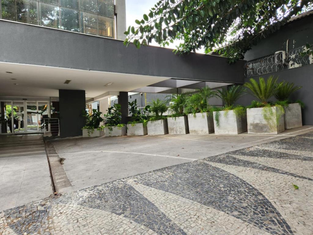 San Diego Express Barro Preto photo 4