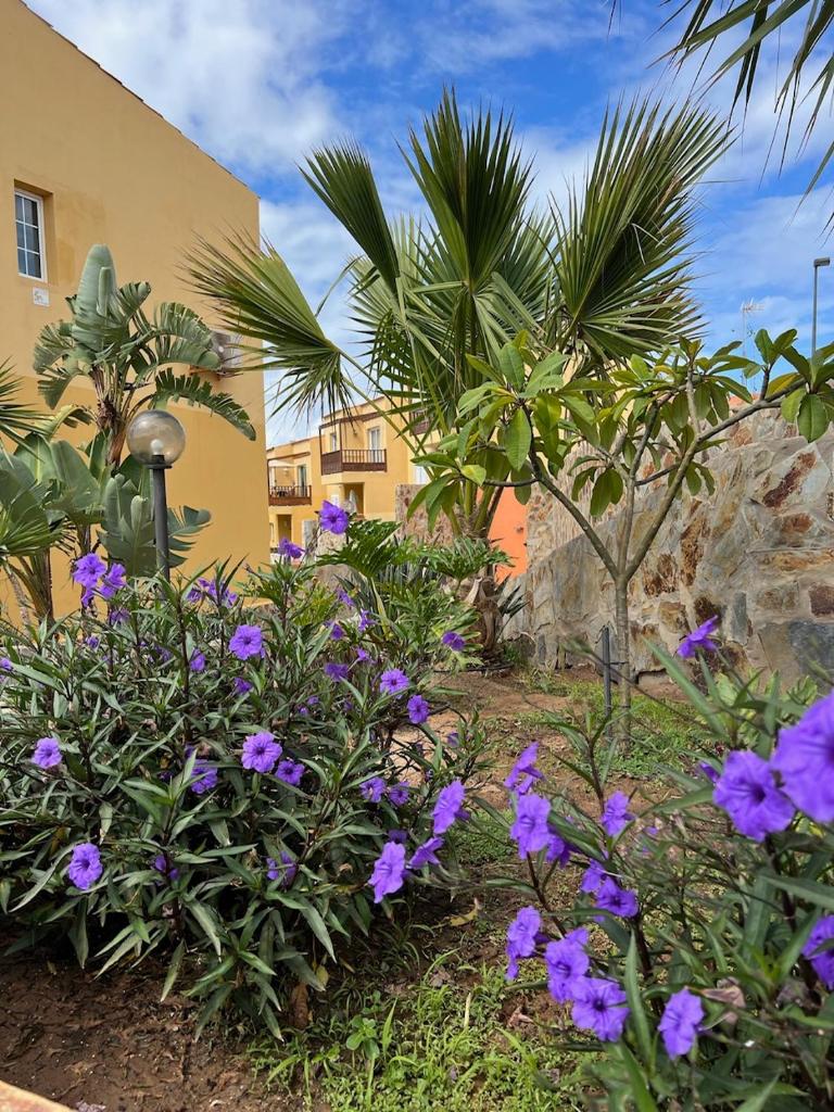 Aloha Apartman Arguineguin photo 3