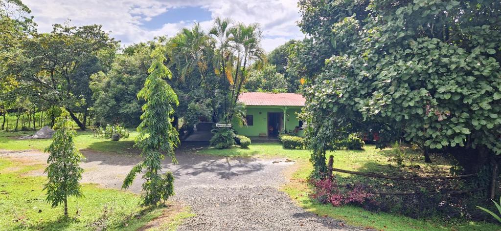 Finca Mamacita photo 4