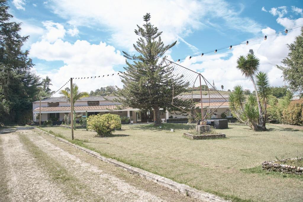 HOTEL LOZETA photo 2