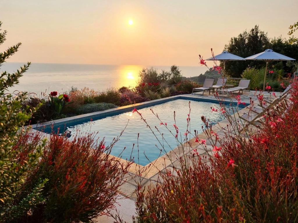 Moses Villa photo 1
