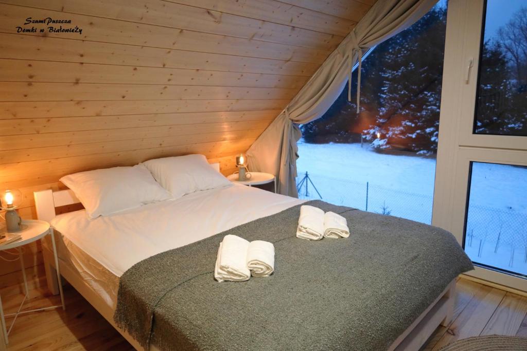 SzumiPuszcza - domki, sauna, jacuzzi photo 1
