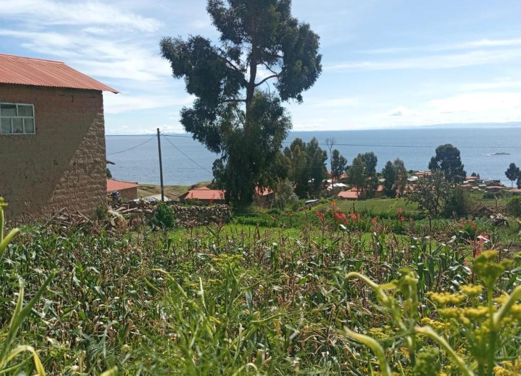 BLUE SKY Amantani Lodge photo 1