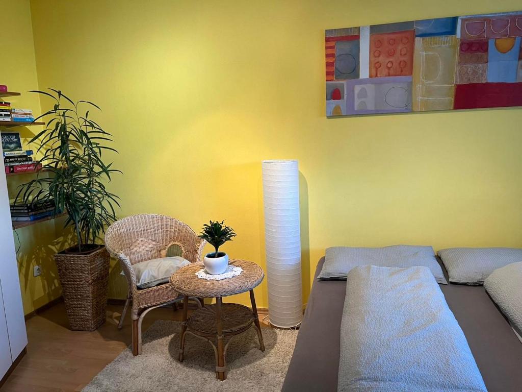 Apartma Movrin photo 3