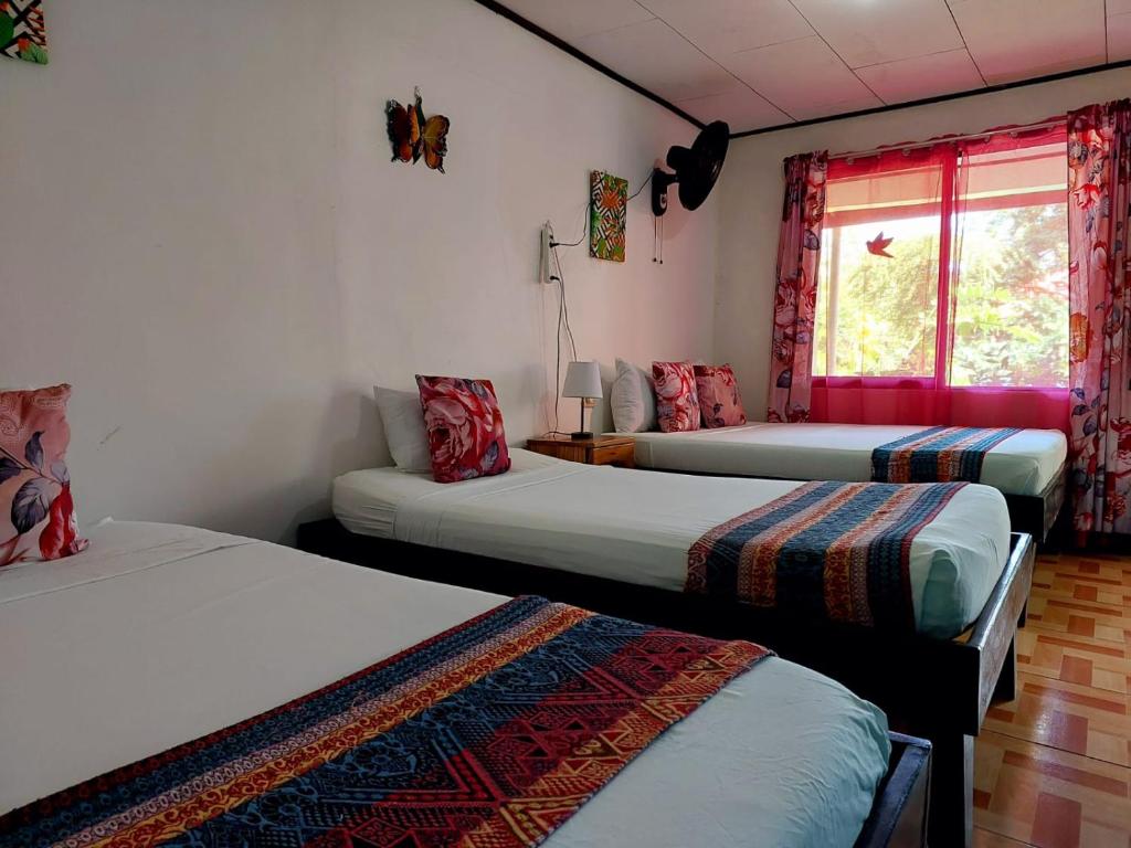 Chinitas Eco Lodge photo 4