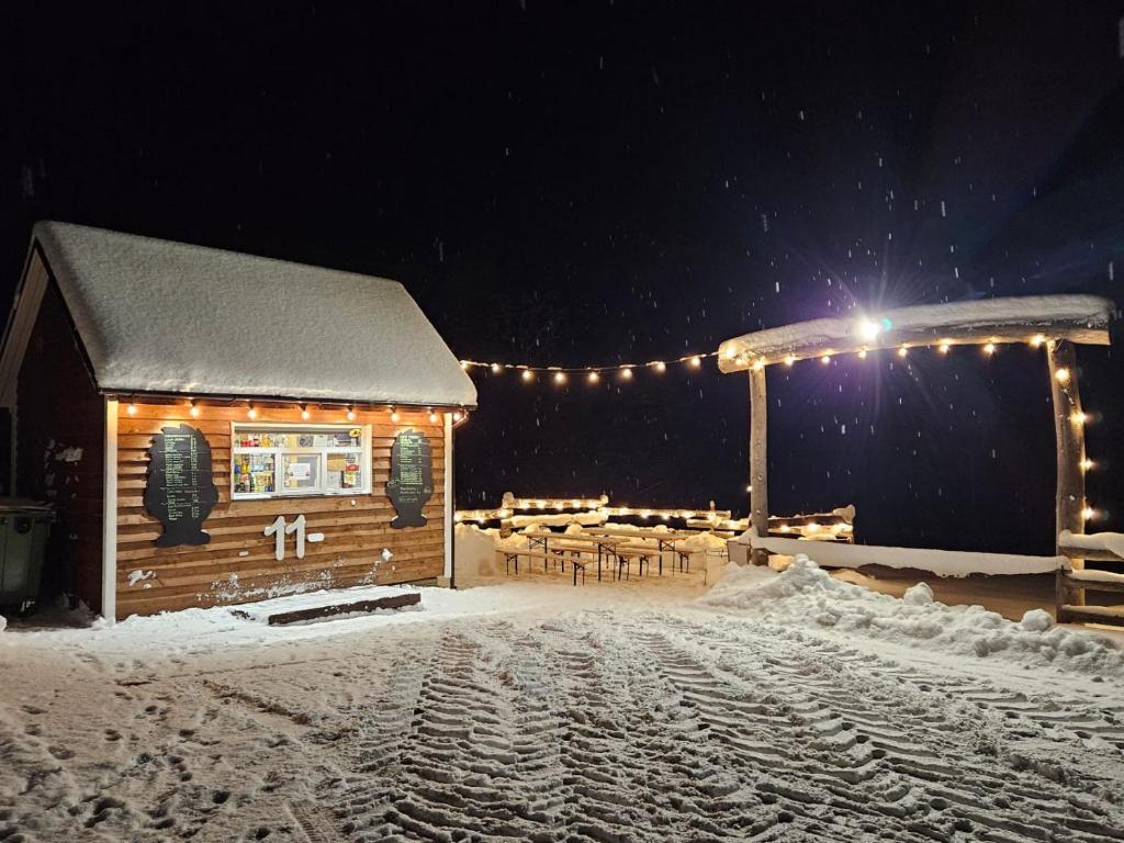 Sämi Siil photo 3