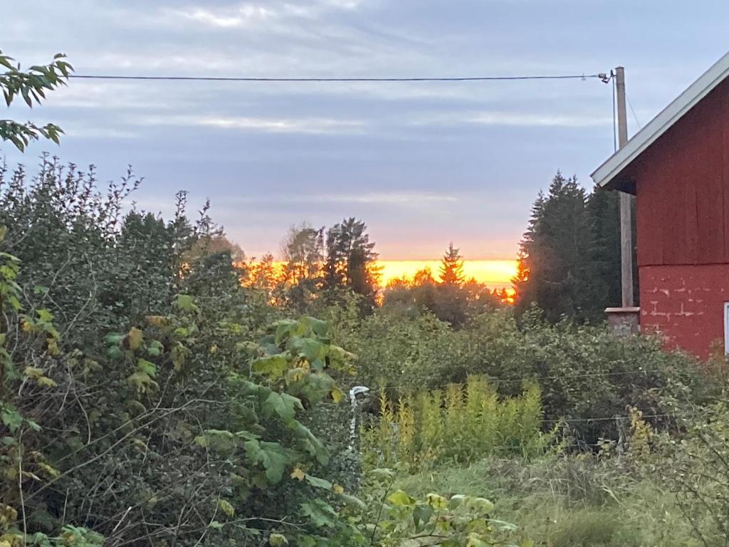 Egen stuga med delat badrum photo 2