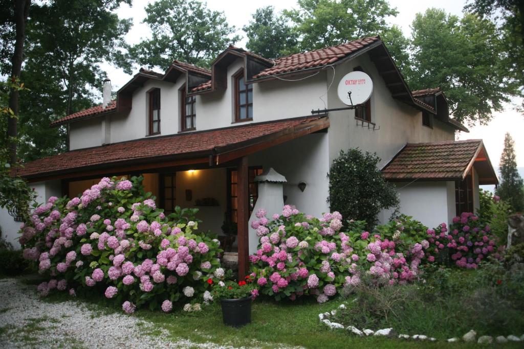 Beta Home Lake House Sapanca photo 4
