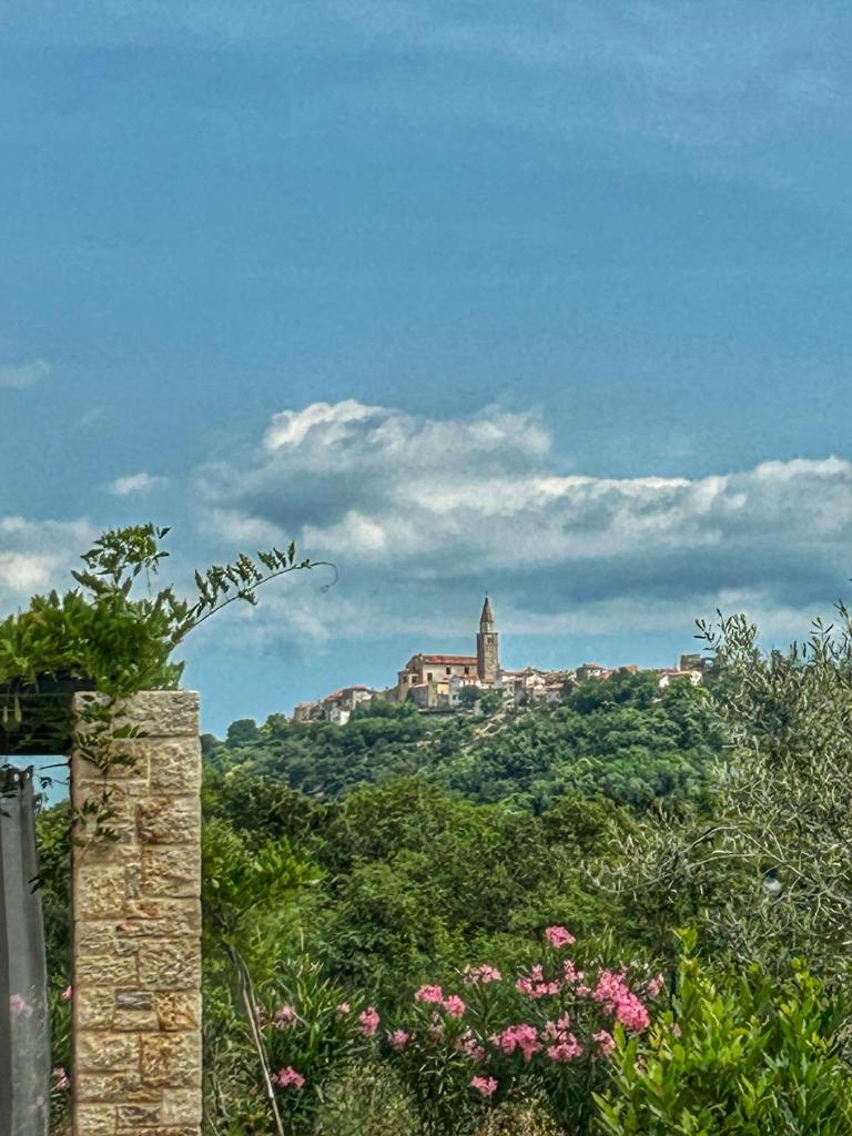 Villa La Vinella photo 3